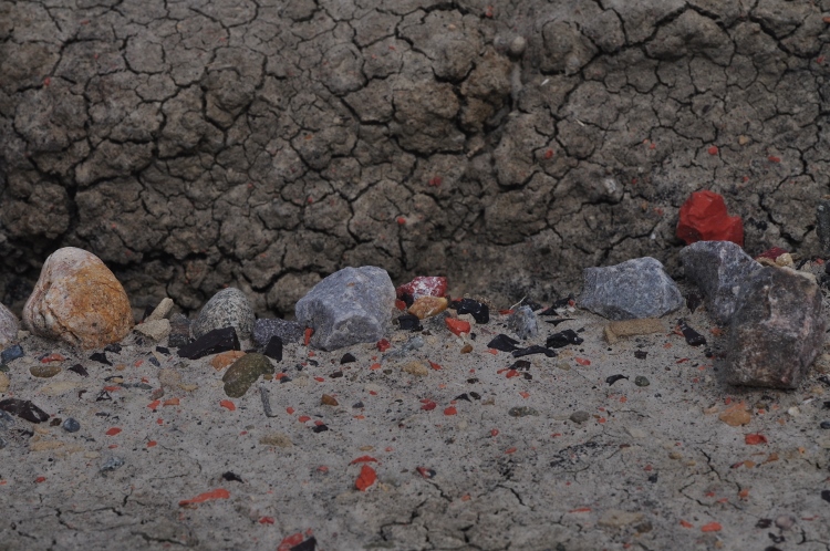bisti wilderness